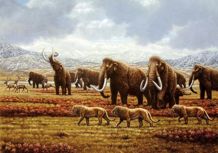 Mauricio Antón Woolly Mammoths Canvas Print Canvas Art by Mauricio Anton Canvas