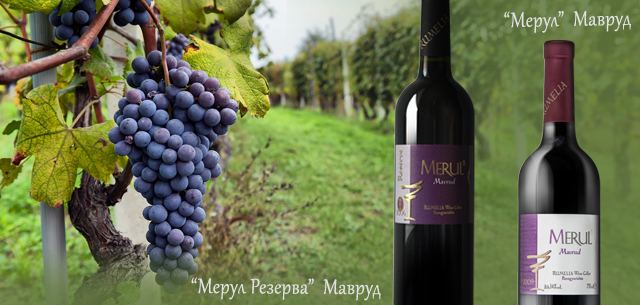 Mavrud Mavrud the wine variety of Bulgaria Rumelia Wine Cellar