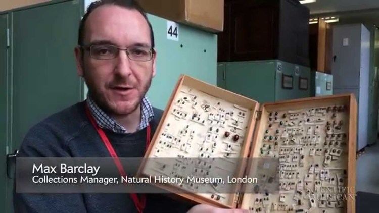 Max Barclay Scientific American presents Max Barclay beetle expert YouTube