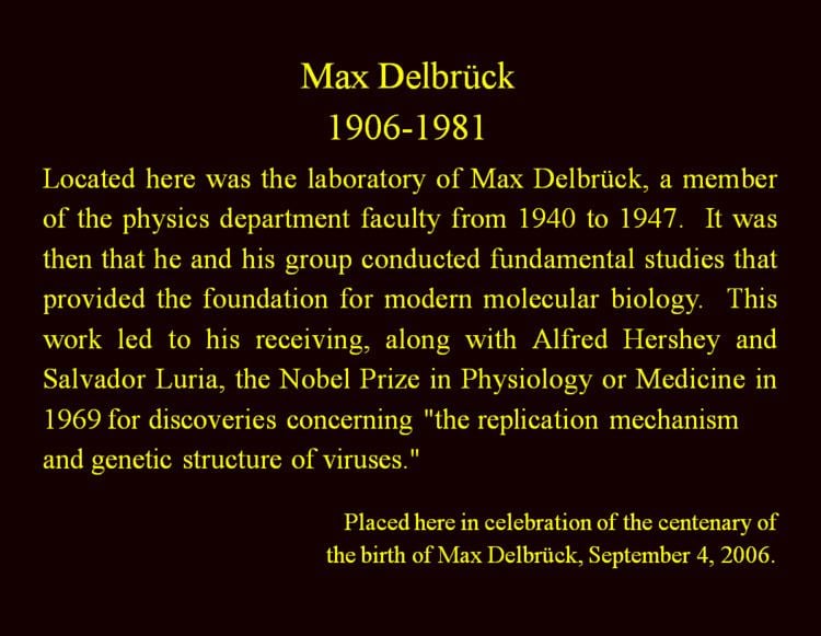 Max Delbruck