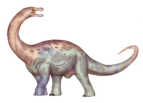 Maxakalisaurus maxakalisaurus DeviantArt