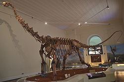 Maxakalisaurus Maxakalisaurus Wikipedia