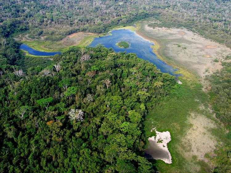 Maya Biosphere Reserve Guatemala39s Maya Biosphere Reserve Celebrates 25 Years As Stronghold