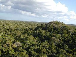 Maya Biosphere Reserve httpsuploadwikimediaorgwikipediacommonsthu