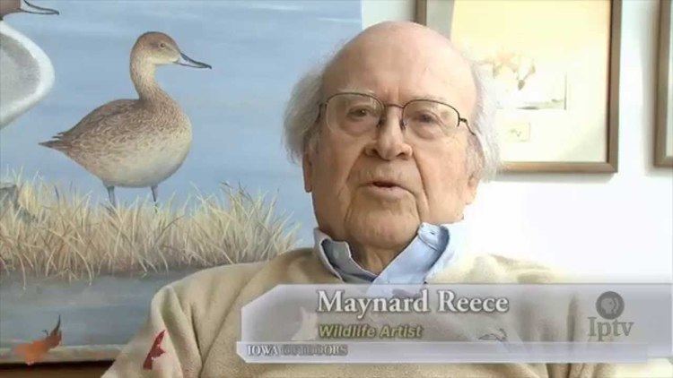Maynard Reece Maynard Reece Iowa Wildlife Artist YouTube