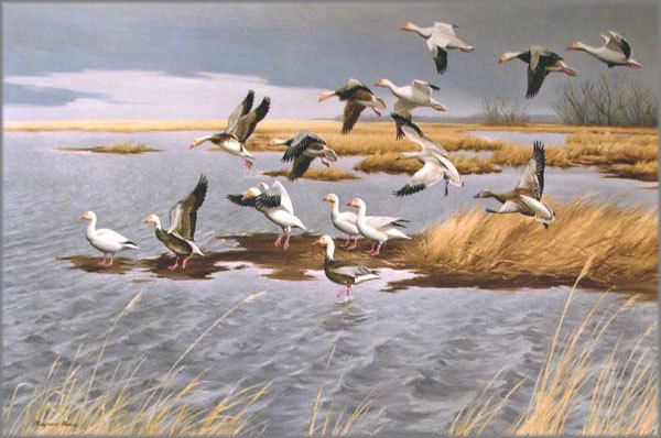 Maynard Reece Waterfowl Gallery One