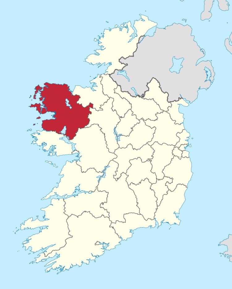 Mayo County Council election, 2004