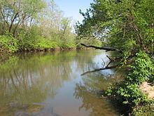 Mayo River (Dan River) httpsuploadwikimediaorgwikipediacommonsthu