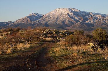 Mazatzal Mountains httpsuploadwikimediaorgwikipediacommonsthu