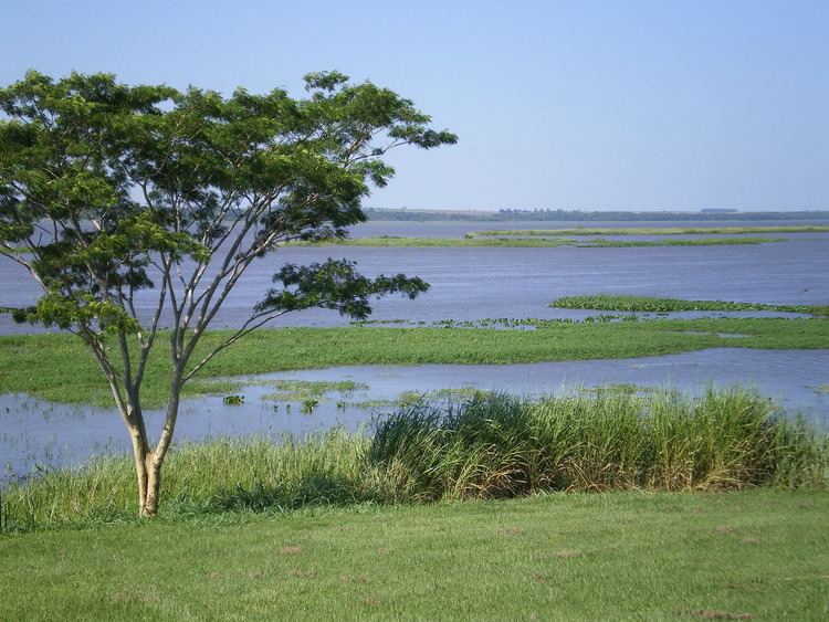 Mbaracayú Forest Nature Reserve