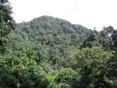 Mbe Mountains Community Forest httpsnigeriawcsorgportals139ImagesMbe20M