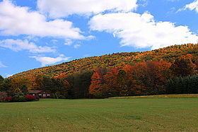 McCauley Mountain (Pennsylvania) httpsuploadwikimediaorgwikipediacommonsthu