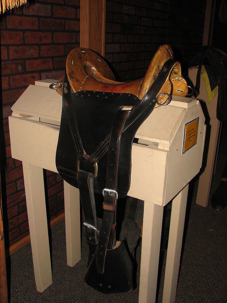 McClellan saddle