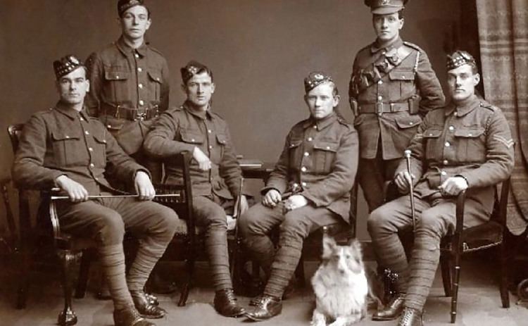 McCrae's Battalion Service marks centenary of the Somme this Friday