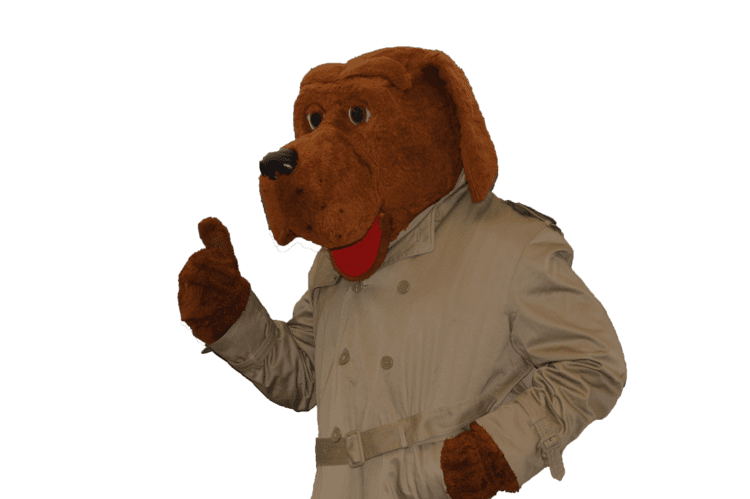 McGruff the Crime Dog McGruff the Crime Dog Costume 169800