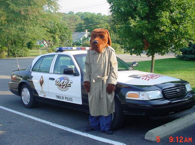 McGruff the Crime Dog McGruff The Crime Dog Gets 16 Years For 1000 Pot Plants Weapons
