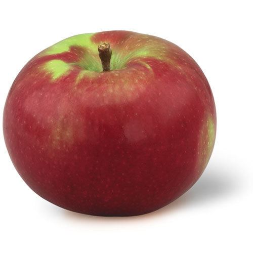 McIntosh (apple) wwwnyapplecountrycomimagessobiproentries20i