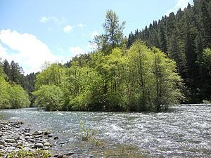 McKenzie River (Oregon) httpsuploadwikimediaorgwikipediacommonsthu