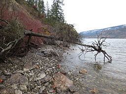 McKinley Landing, British Columbia httpsuploadwikimediaorgwikipediacommonsthu