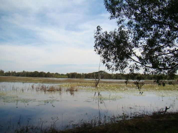 McMinns Lagoon, Northern Territory wwwlitchfieldntgovausitesdefaultfilesstyle