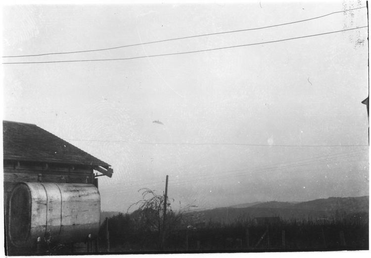 McMinnville UFO photographs httpswwwdebunkercomimages2Trent2Full400dp