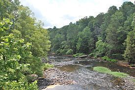Meadow River httpsuploadwikimediaorgwikipediacommonsthu