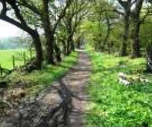 Meanwood Valley Trail Meanwood Valley Trail Walking Route LeedsWest Yorkshire