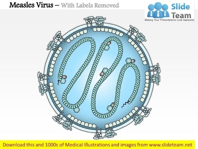 Measles virus Measles virus medical images for power point
