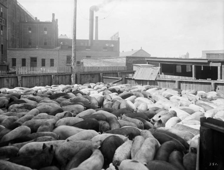 Meat packing industry