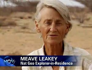 Meave Leakey Meave Leakey Professional Public Speakers Motivational Business