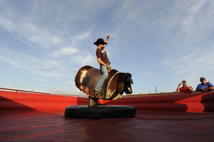 Mechanical bull Army39s Bull Story Turns Out to Be Bullst The Fiscal Times