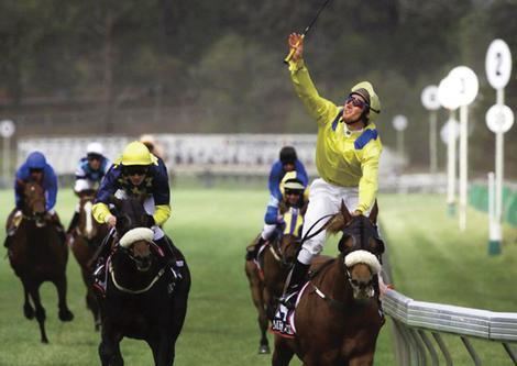 Media Puzzle Director returns to the track for Melbourne Cup movie Horse Racing