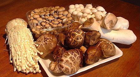 Medicinal fungi Medicinal mushroomsChinese medicineHerbal medicineReishiLingshi