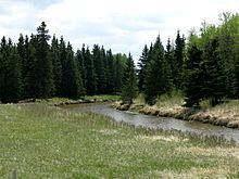 Medicine River (Alberta) httpsuploadwikimediaorgwikipediacommonsthu