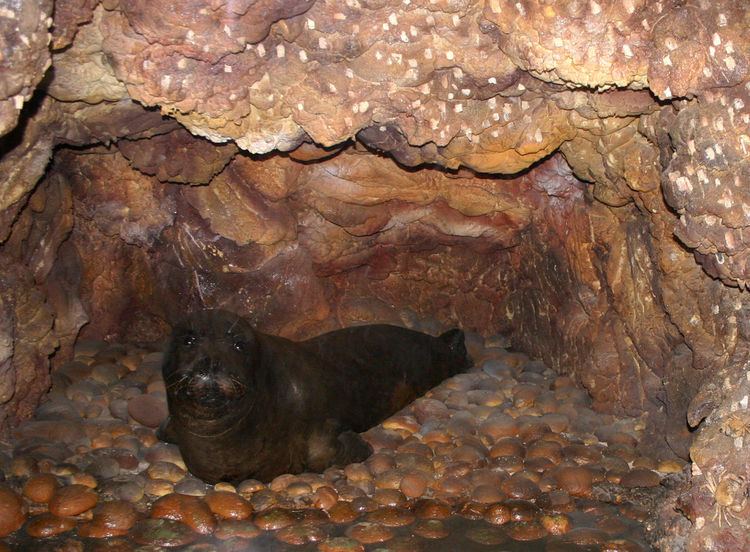 Mediterranean Monk Seal Memorandum of Understanding