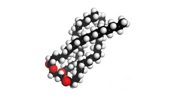 Medium-chain triglyceride MediumChain Triglycerides Offering Up BrainBoosting Ketones