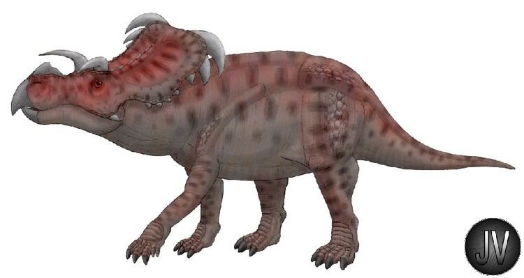 medusaceratops lokii