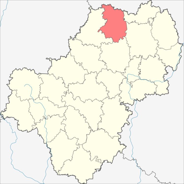 Medynsky District