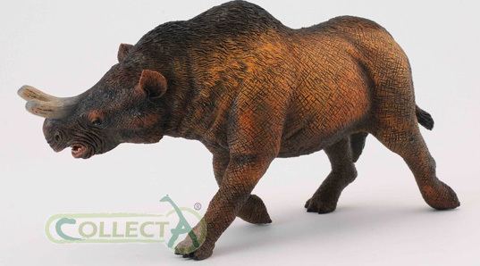 Megacerops Collecta Megacerops Prehistoric Mammal Model Reviewed