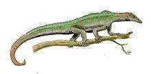 Megalancosaurus Megalancosaurus Wikipedia