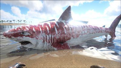 Megalodon Megalodon Official ARK Survival Evolved Wiki