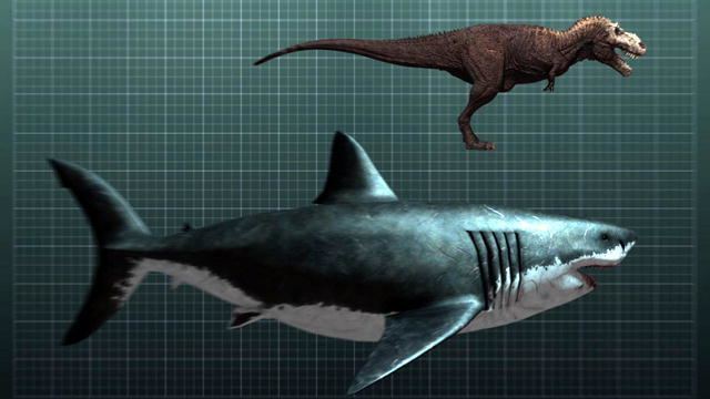 Megalodon The Nightmarish Megalodon Shark Week Discovery