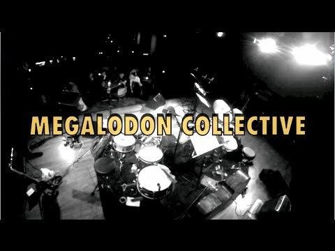 Megalodon Collective MEGALODON COLLECTIVE Funk Skunk Dokkhuset 2015 YouTube