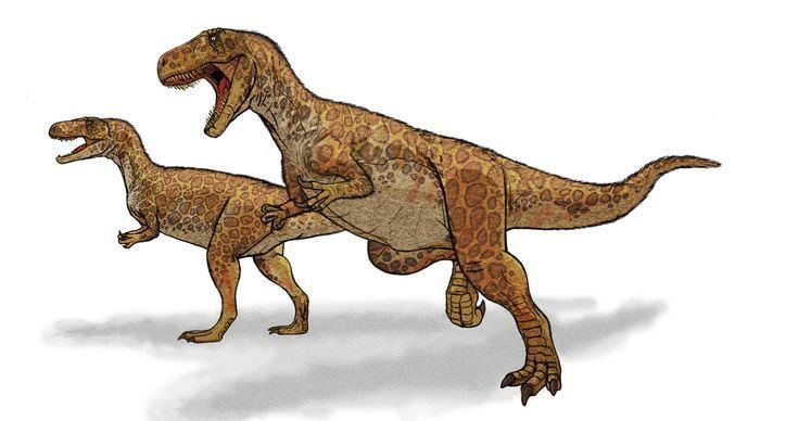 Megalosauridae Megalosaurusdinosaurpng 1440760 Dinosauria Saurischia