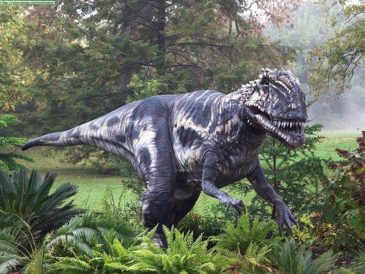 Megalosaurus Megalosaurus Facts and Pictures