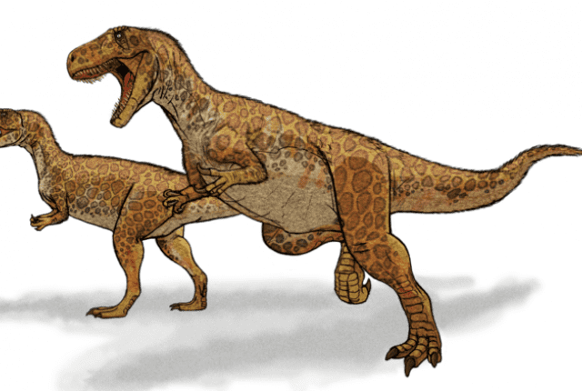 Megalosaurus 10 Monstrous Facts About Megalosaurus Mental Floss