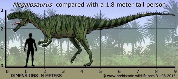 Megalosaurus Megalosaurus