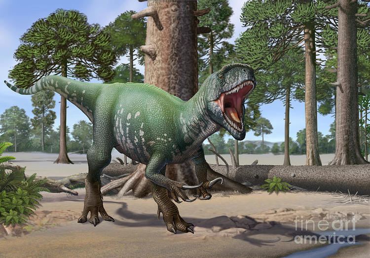 Megaraptor Megaraptor Facts and Pictures