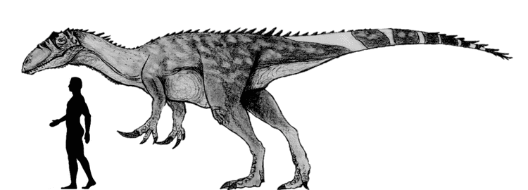Megaraptor megaraptor DeviantArt