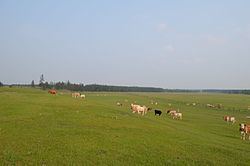 Megino-Kangalassky District httpsuploadwikimediaorgwikipediacommonsthu